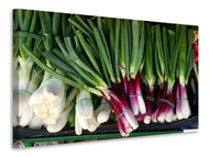 Canvas print spring onions