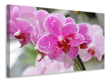 Load image into Gallery viewer, Canvas print Purple orchids in bloom
