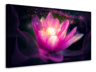 Canvas print Lily in the light play