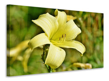 Load image into Gallery viewer, Canvas print Lilies blossom in yellow
