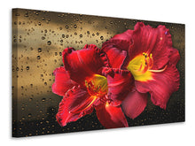 Load image into Gallery viewer, Canvas print Lily flowers with water drops

