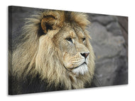 Canvas print Lion head XL