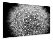 Load image into Gallery viewer, Canvas print Dandelion in XXL
