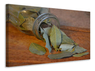 Canvas print bay leaves