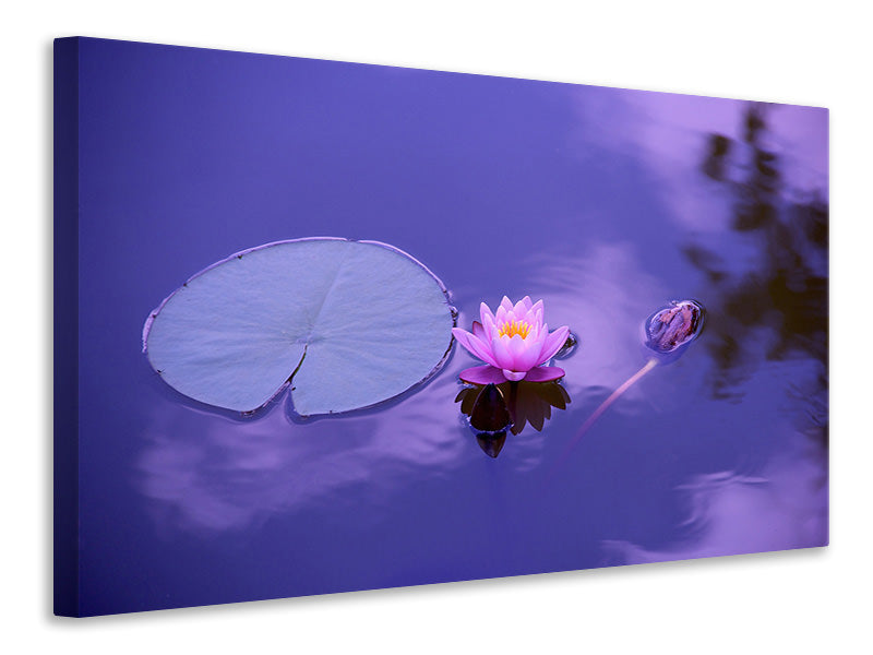 Canvas print Lotus flower