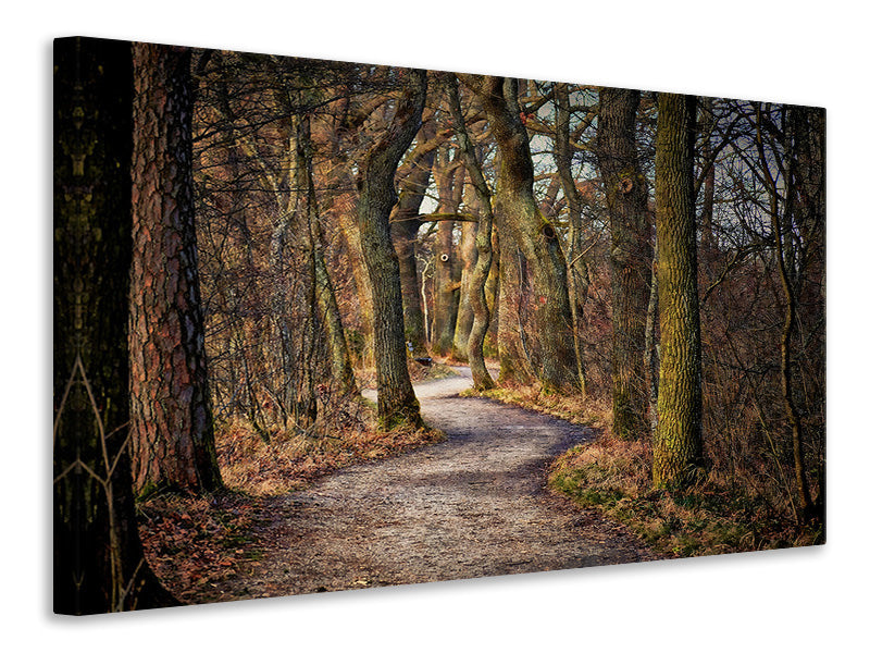 Canvas print enchanted forest