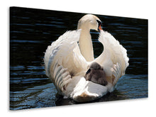 Load image into Gallery viewer, Canvas print Mom and baby swan
