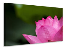 Load image into Gallery viewer, Canvas print Marko Lotus in pink
