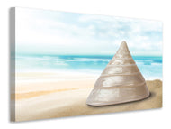 Canvas print Marine snail XXL