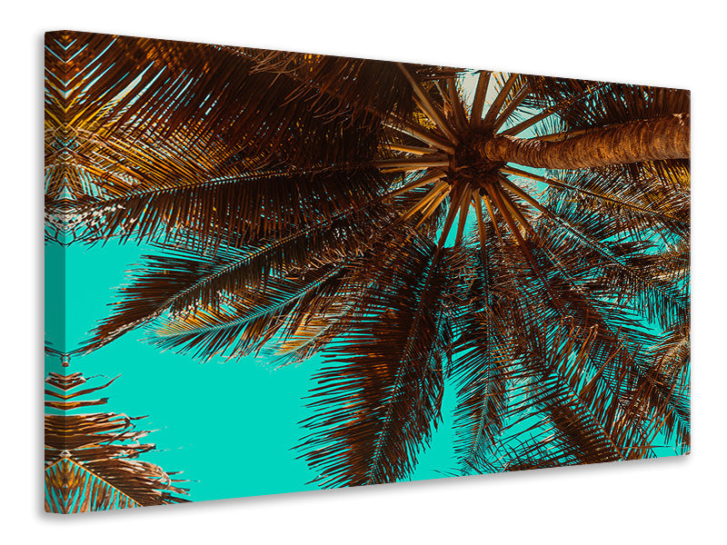 Canvas print My place under the palm trees