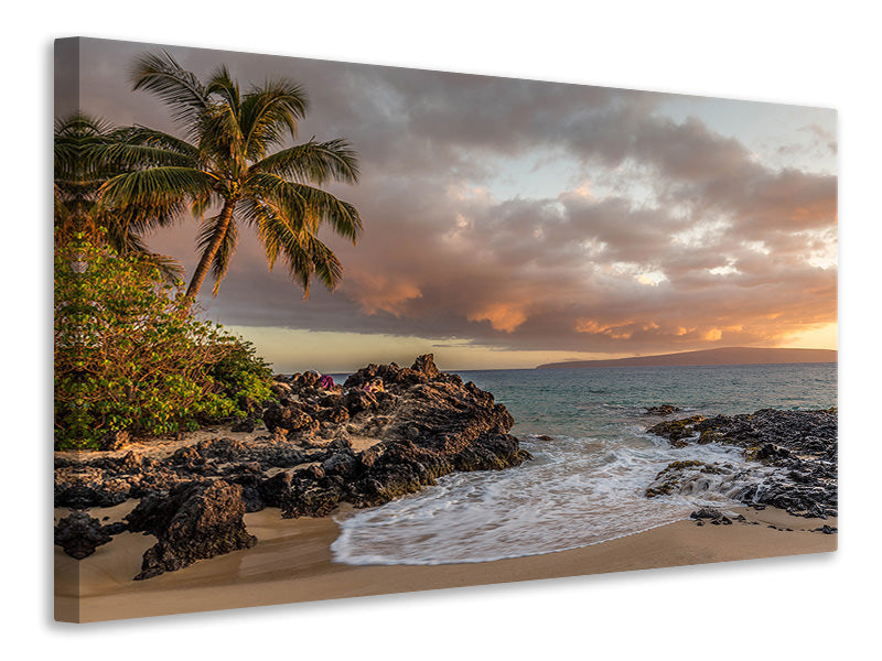 Canvas print My beach