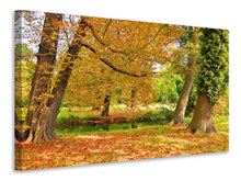 Load image into Gallery viewer, Canvas print In the middle of autumn trees
