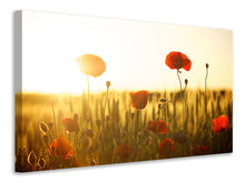 Load image into Gallery viewer, Canvas print Poppy in the sunset
