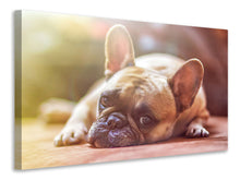 Load image into Gallery viewer, Canvas print Tired bulldog
