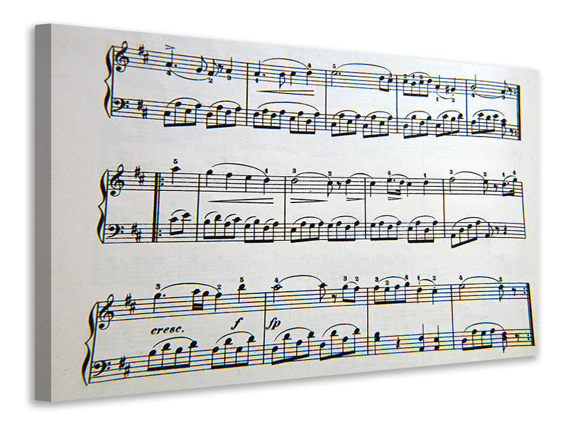 Canvas print Music notes