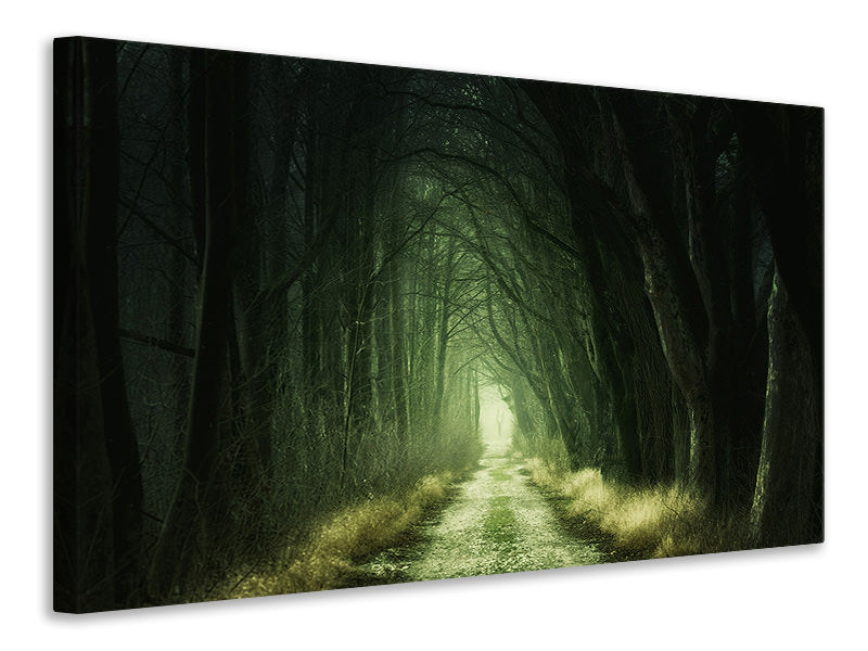 Canvas print Mysterious forest 2