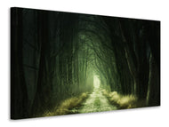 Canvas print Mysterious forest 2