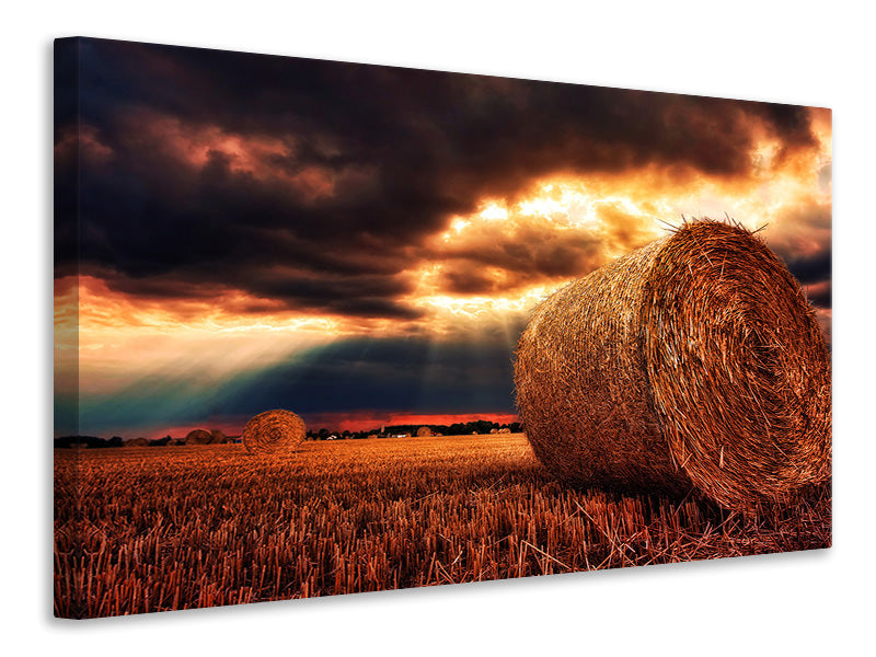 Canvas print Mystic landscape