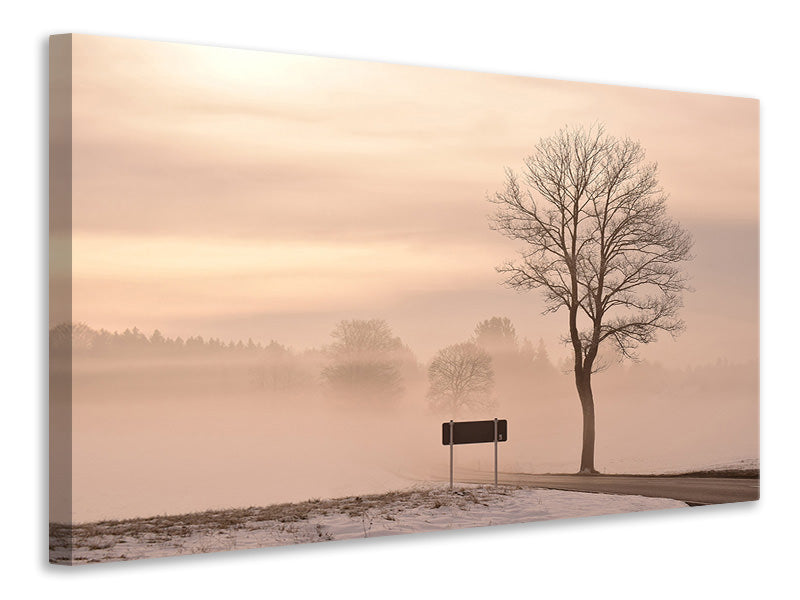 Canvas print Mystic mood in nature