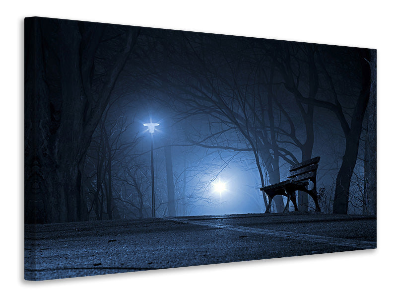Canvas print At night in the park