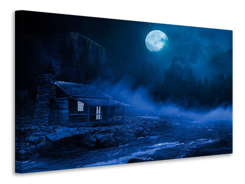 Canvas print At night in the woods