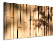 Canvas print Natural bamboo