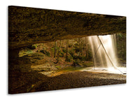 Canvas print Nature shower