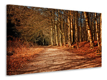 Load image into Gallery viewer, Canvas print Nature in autumn
