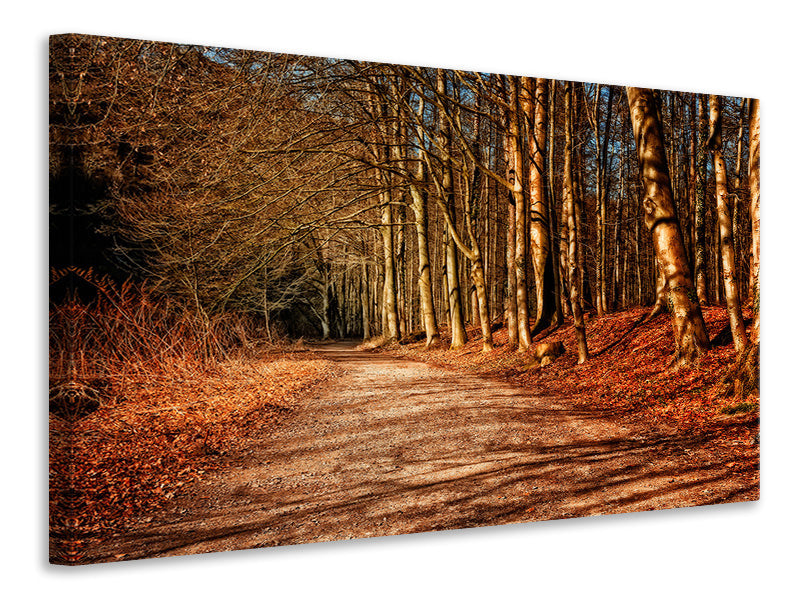Canvas print Nature in autumn