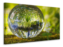 Load image into Gallery viewer, Canvas print Nature ball
