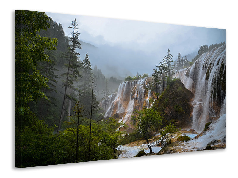 Canvas print Nature beauty