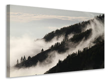Load image into Gallery viewer, Canvas print Fog in the woods

