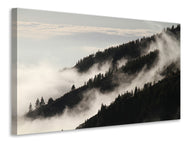 Canvas print Fog in the woods