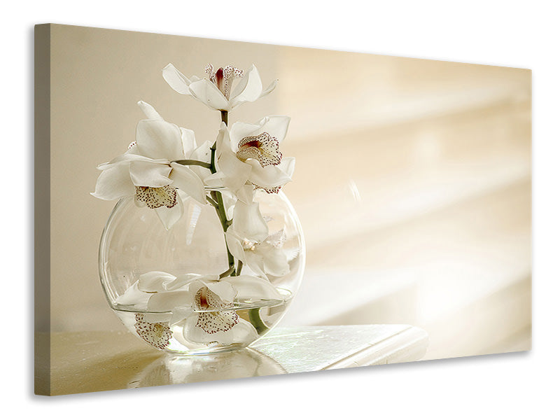 Canvas print Orchid in the glass