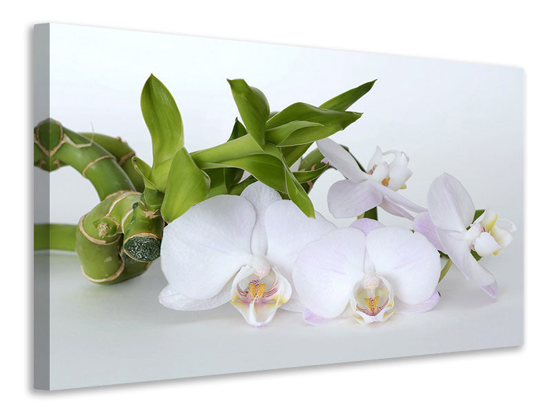 Canvas print Orchid and bamboo
