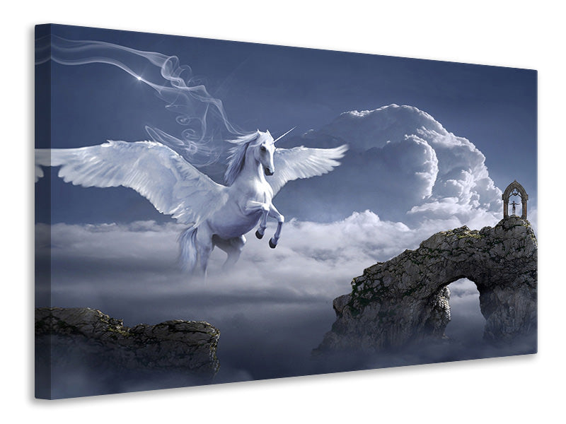 Canvas print Pegasus