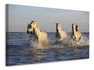 Canvas print Horses in the sea