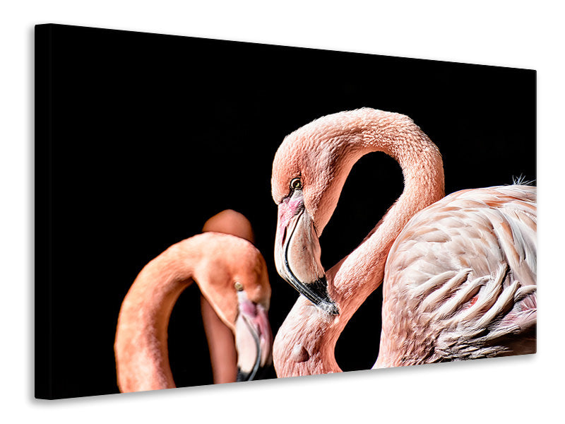 Canvas print Magnificent flamingos
