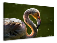 Canvas print Gorgeous bird