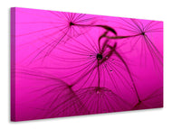 Canvas print Dandelion in pink
