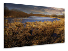 Load image into Gallery viewer, Canvas print Rough nature landscape
