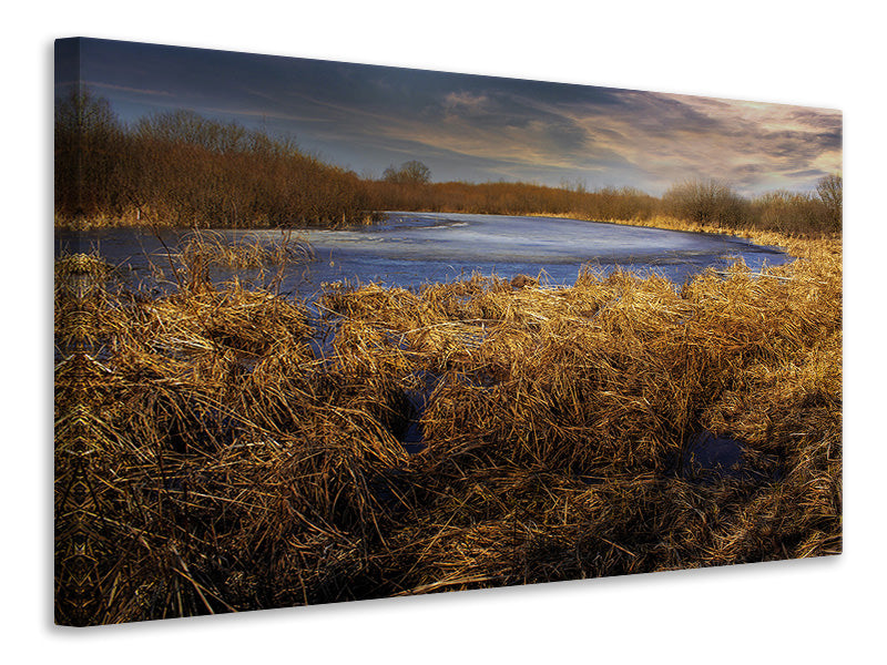 Canvas print Rough nature landscape