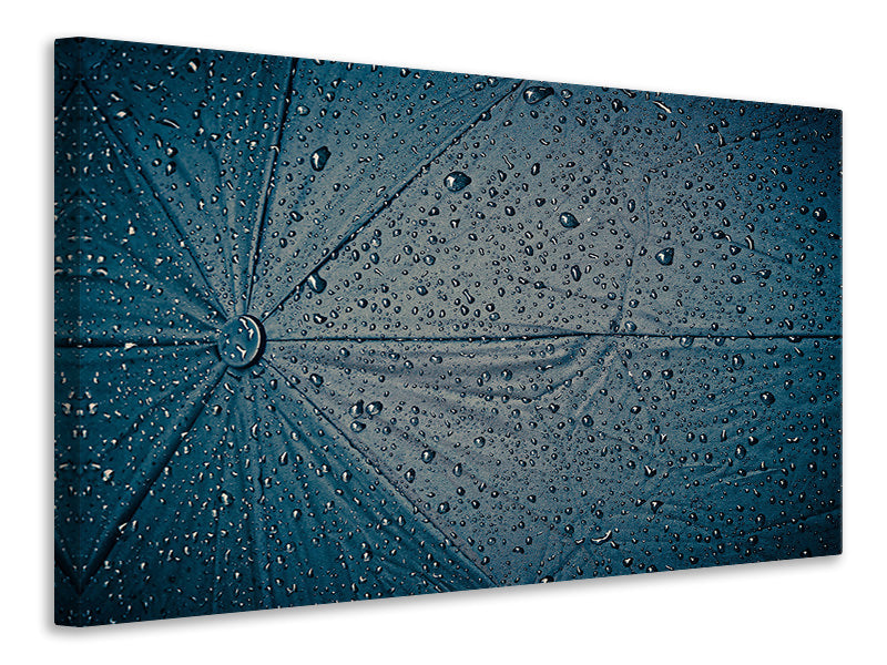 Canvas print umbrella