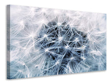 Load image into Gallery viewer, Canvas print Ripe dandelion Close up
