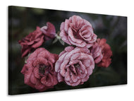 Canvas print Romantic roses