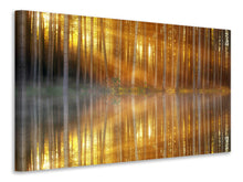 Load image into Gallery viewer, Canvas print Romantic mood in the forest
