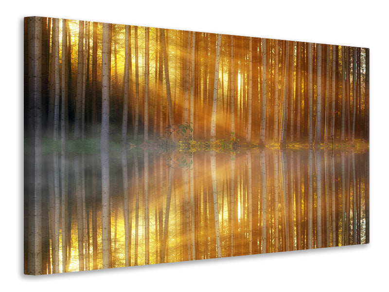 Canvas print Romantic mood in the forest