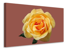 Load image into Gallery viewer, Canvas print Rose in yellow XXL

