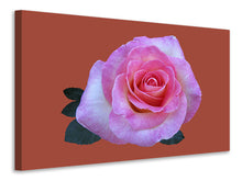 Load image into Gallery viewer, Canvas print Rose in pink XXL
