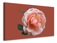 Canvas print Rose in pink XXL 2
